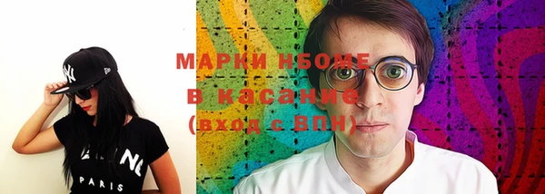 хмурый Арсеньев
