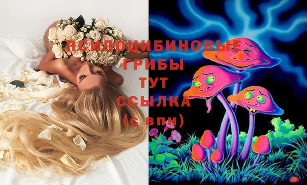 тгк Аркадак