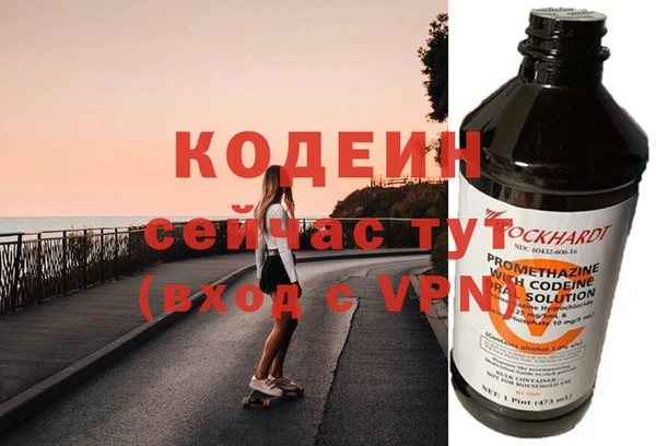 хмурый Арсеньев
