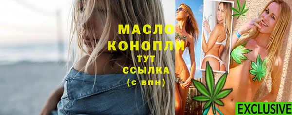 хмурый Арсеньев