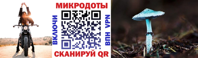 Псилоцибиновые грибы Psilocybine cubensis  Купить  Устюжна 