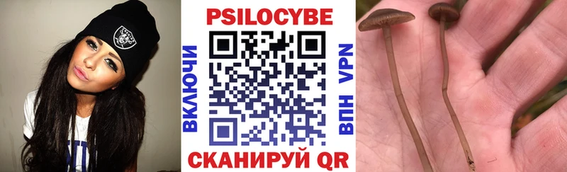 Галлюциногенные грибы MAGIC MUSHROOMS Устюжна