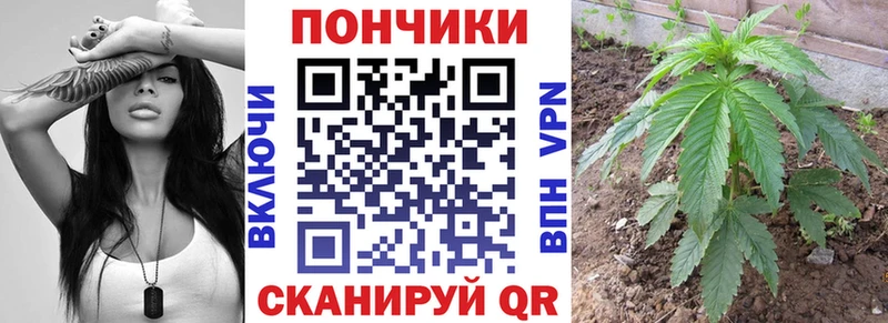 Купить  Устюжна  Бошки Шишки OG Kush 